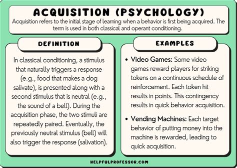 information transfer syllatiles|Information Transfer in Psychology: Definition, Types & Examples.